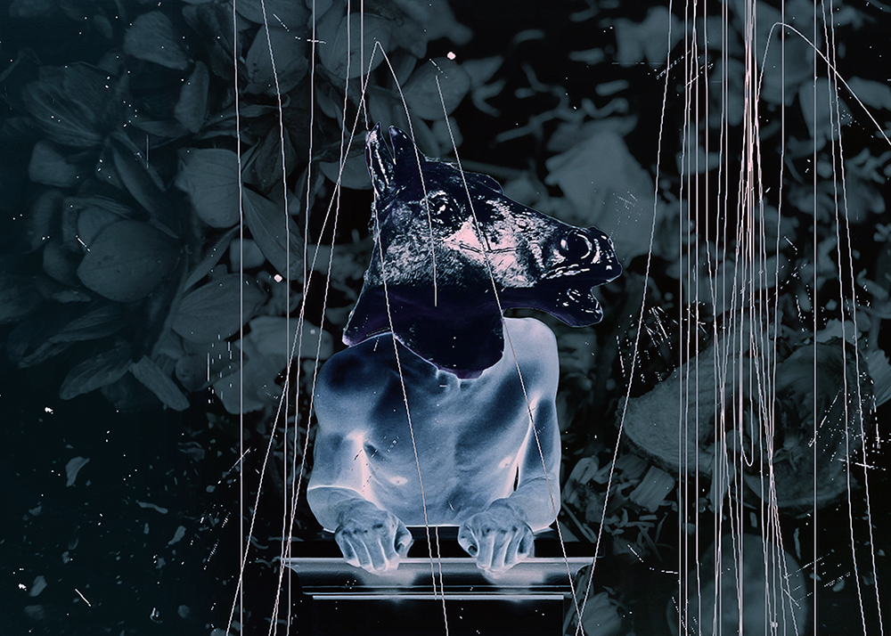 Absconditus